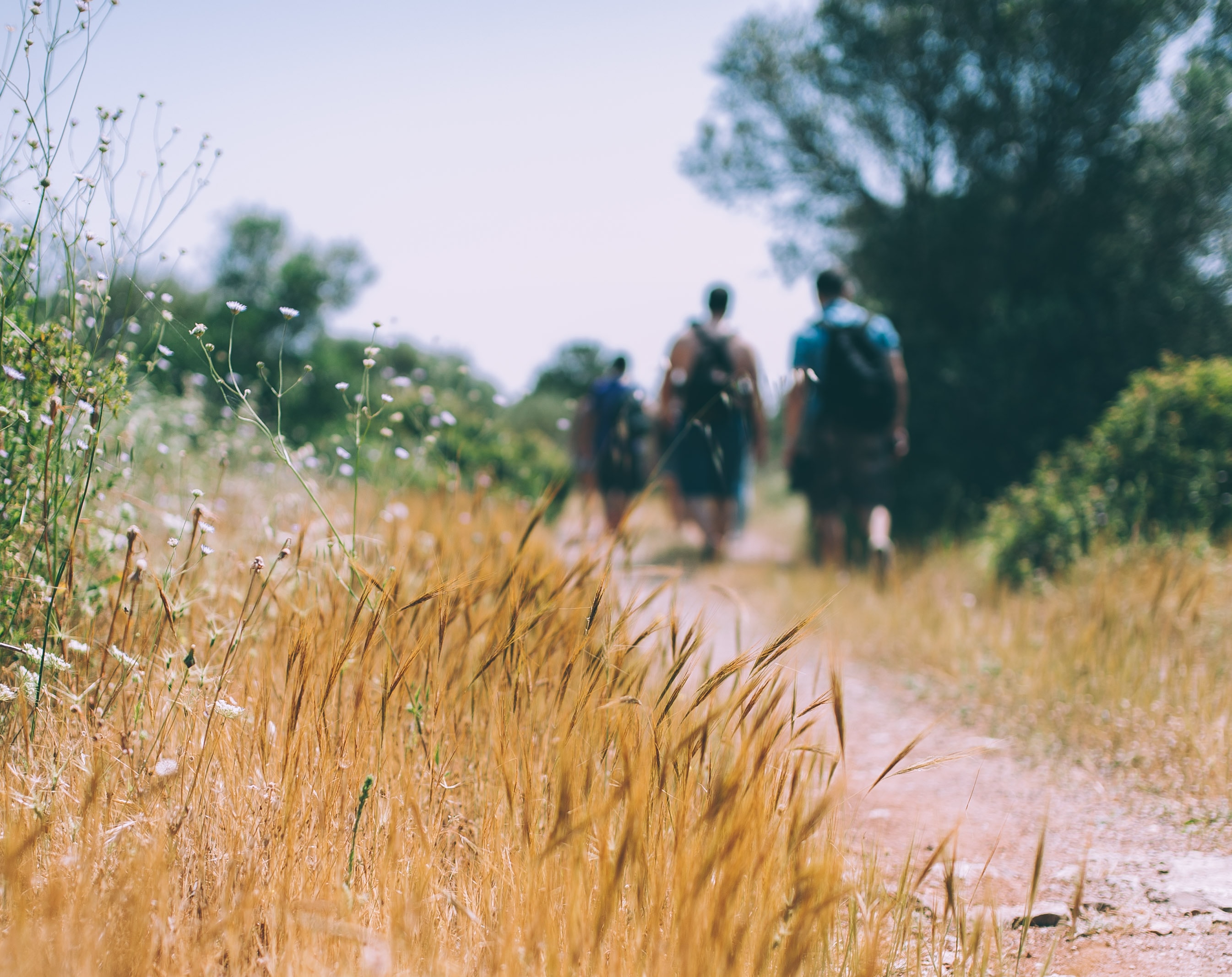 Unveiling the Healing Power of Walk & Talk Therapy