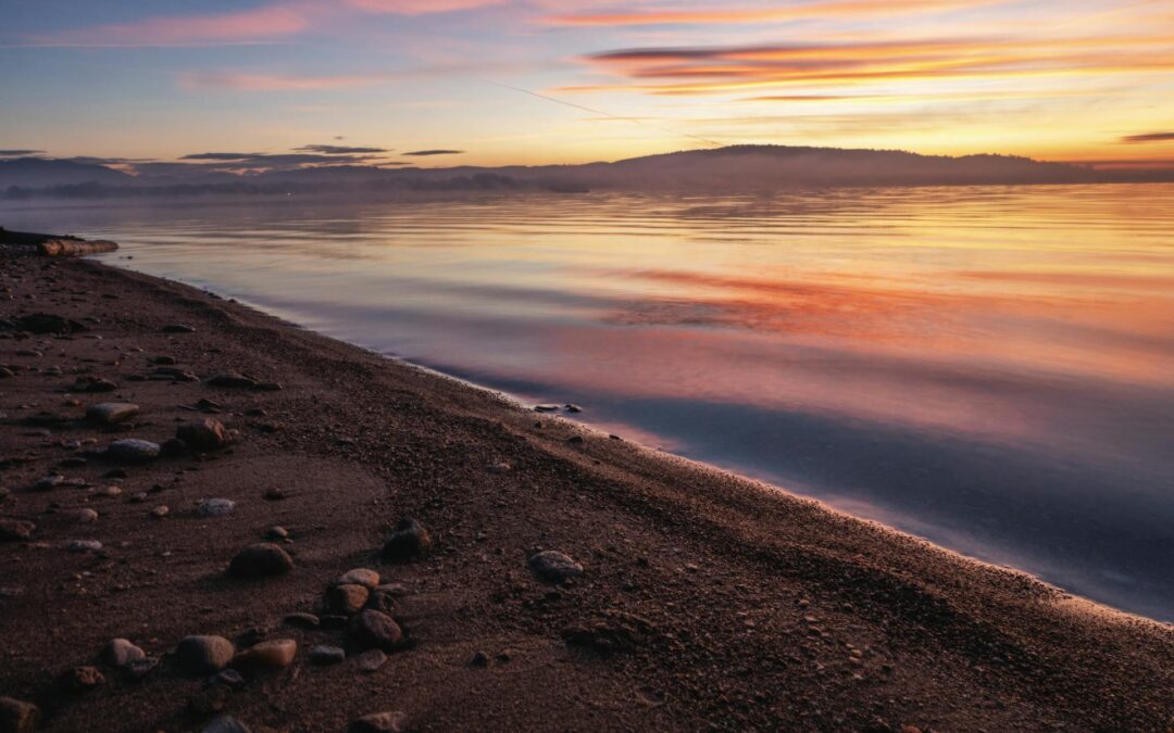 Types of Therapy and Coaching in BC: How to Figure Out What Fits